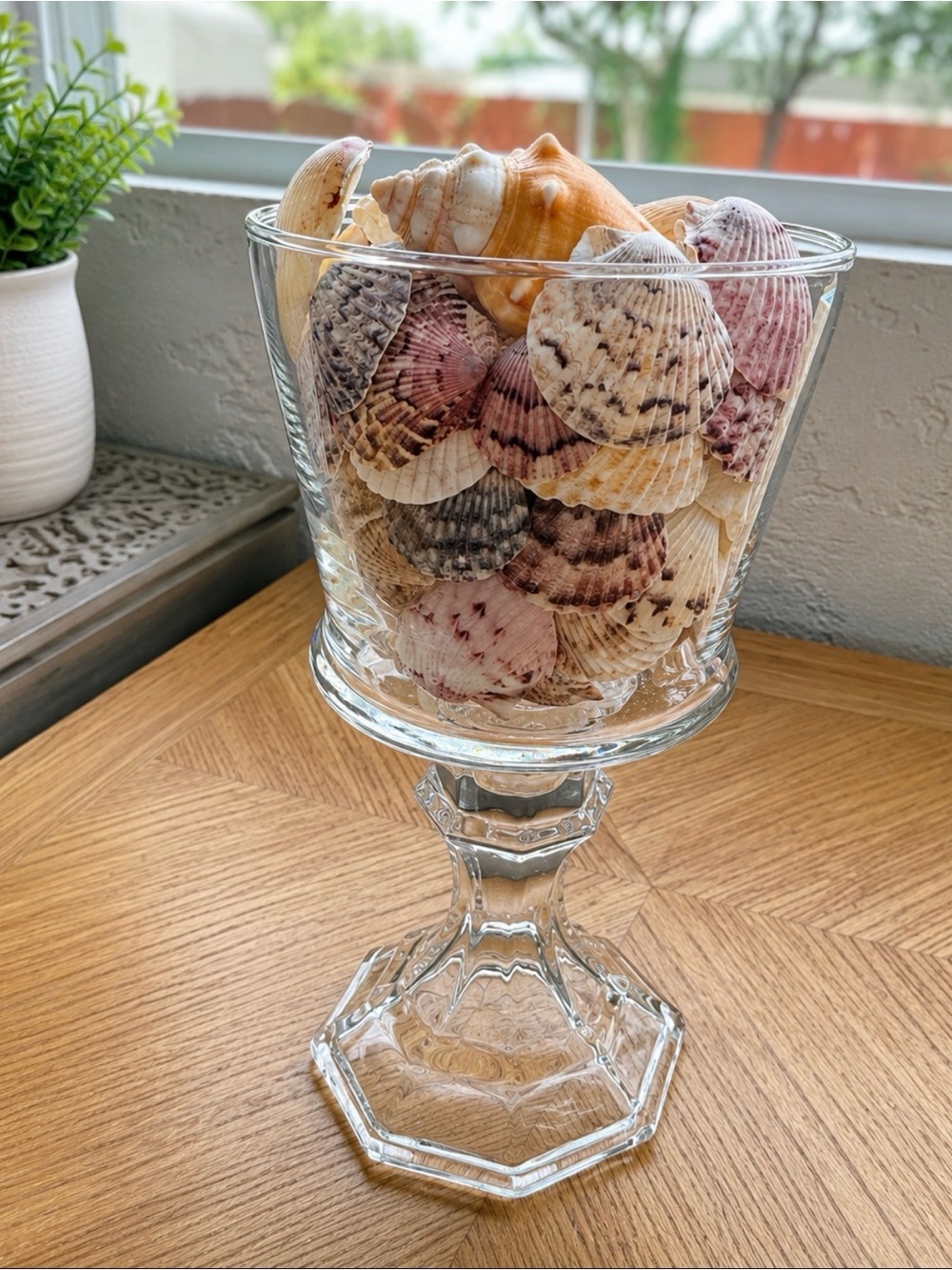 Coastal Seashell Glass Pedestal Bowl Real Shell Beach Decor
